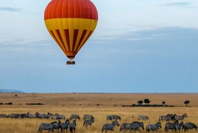 Elegant Kenya Büyük Göç Türk Hava Yolları İle 6 Gece