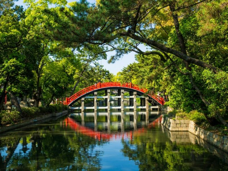 Comfort Japonya Turu Türk Hava Yolları ile 6 Gece Ekstra Turlar Dahil ve Çay Seremonisi Dahil Koyo Dönemi NRT-KIX