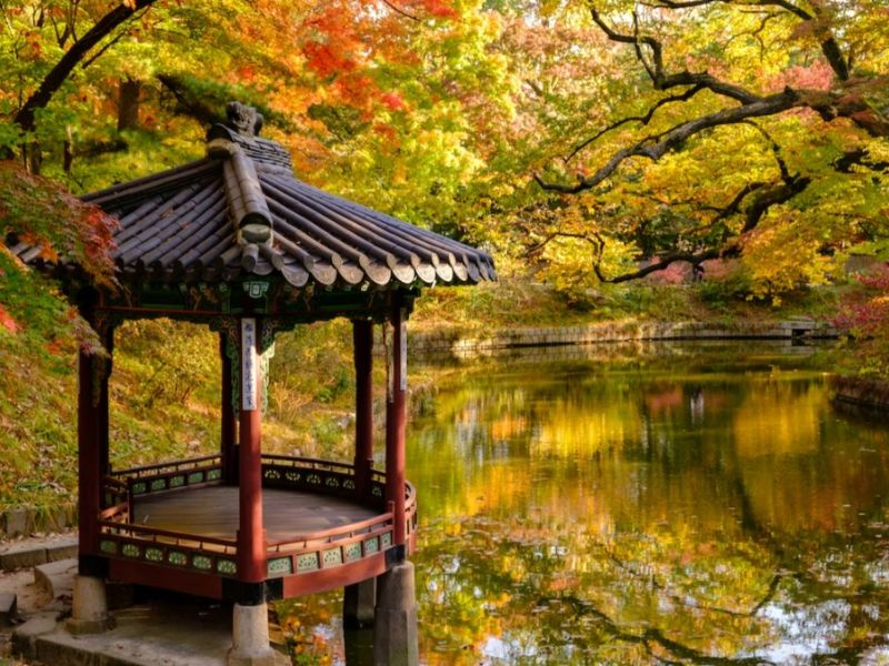 Comfort Japonya & Kore Turu Türk Hava Yolları ile 8 Gece Ekstra Turlar Dahil ICN-NRT