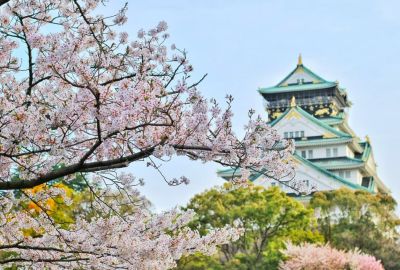 Comfort Japonya Turu Türk Hava Yolları ile 6 Gece Ekstra Turlar Dahil NRT-KIX