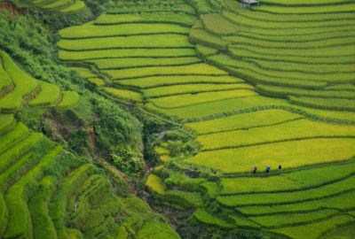Comfort Vietnam Kamboçya Turu Türk Hava Yolları ile 7 Gece Ekstra Turlar Dahil (SGN-HAN)