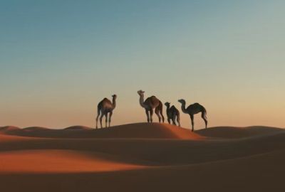Güney Sudan: Nil Boyu Mundari Kabileleri ve Festivali Türk Hava Yolları İle  7 Gece 8 Gün