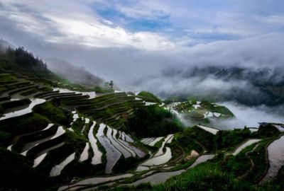 Tulga Ozan Eşliğinde Yunnan: Guizhou & Chengdu Pingba Sakura Bahçesi Sichuan Hava Yolları İle 14 Gece 15 Gün