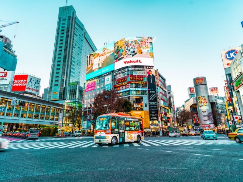 Japonyanın Gizli Hazineleri Turu Türk Hava Yolları 9 Gece 10 Gün