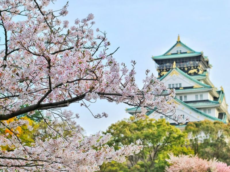 Japonyanın Gizli Hazineleri Turu Türk Hava Yolları 9 Gece 10 Gün