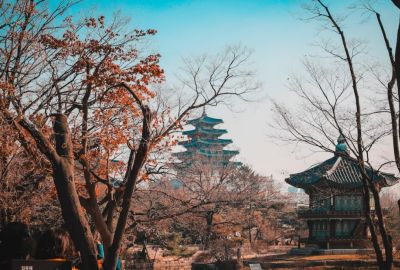 Asyanın İki Efsanesi: Japonya & Kore Türkmenistan Hava Yolları İle 8 Gece 9 Gün