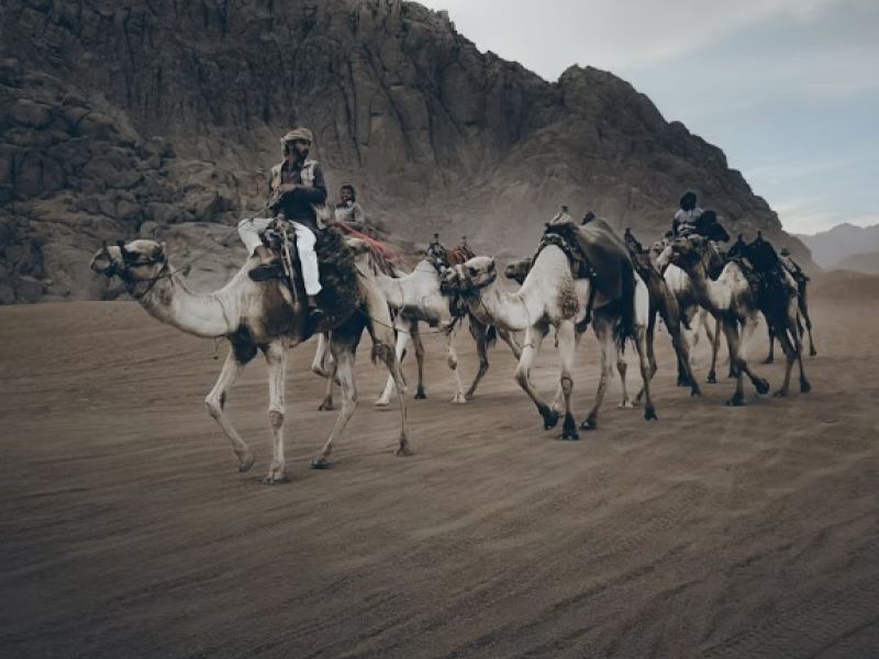 Kayseri Havalimanı Kalkışlı Freebird Hava Yolları İle 7 Gece 8 Gün Prestij Mısır Üçgeni ; Hurghada & Kahire & Sharm Turu Kahire Şehir Turu Dahil