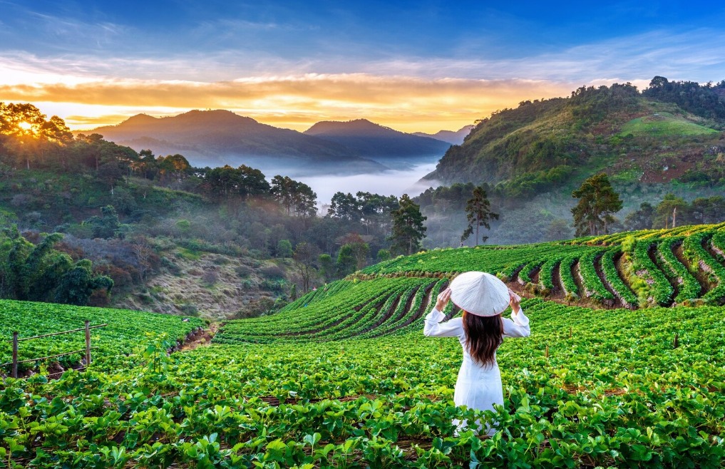 Vietnam Kamboçya Laos Turu 14 Gün - 2026