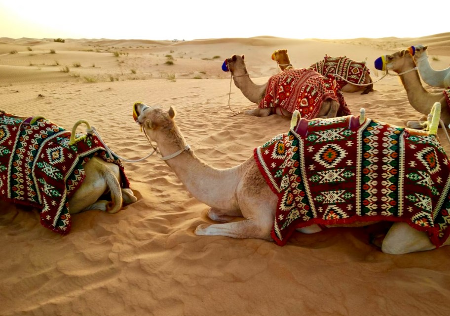 Ankara'dan Dubai Turu Ajet ile 3 Gece