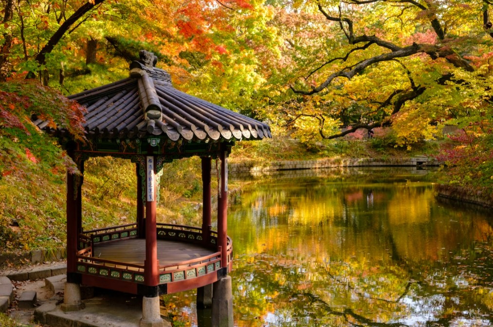 Elegant Japonya & Güney Kore Emirates Hava Yolları ile 9 Gece